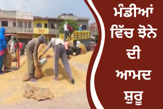 paddy purchase started in mandis