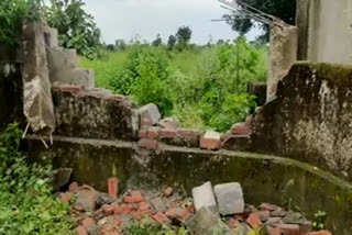 Elephant herd enters Bagjala Junior High School