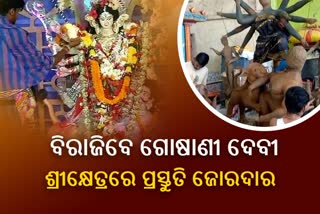 ଧରାବତରଣ କରିବେ ଗୋଷାଣୀ ଦେବୀ, ଶ୍ରୀକ୍ଷେତ୍ରରେ ଚାଲିଛି ପ୍ରସ୍ତୁତି