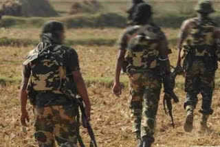 CRPF decimates Naxals by storming into their bastions
