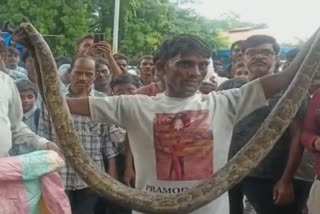 Prayagraj: 15 feet long python found in the luggage compartment of a bus