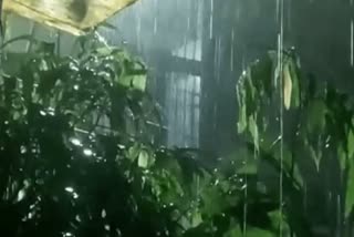 Rain in many areas of Delhi