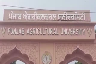 Kisan Mela will be held at Punjab Agricultural University, Chief Minister Bhagwant Mann can attend