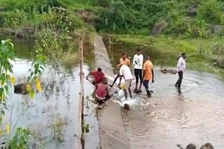 Leakage in Mogra reservoir manendragarh