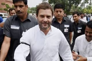 Rahul Gandhi