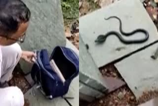 Shivpuri school student bag Snake