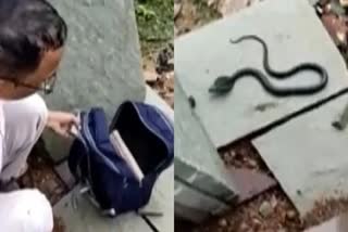 snake-in-student-school-bag-in-madhyapradesh