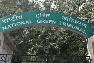 NGT imposes a fine