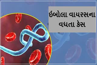 Etv Bharatઇબોલા ખૂબ જ ખતરનાક વાયરસ, જાણો તે ક્યારે અને કેવી રીતે ફેલાય છે