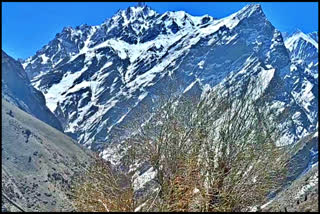 Snowfall in kinnaur