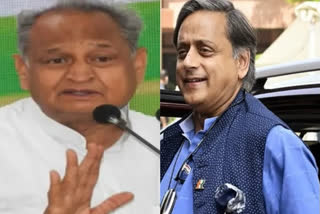 Ashok Gehlot Shashi Tharoor camps race to garner support ahead of Congress presidential polls