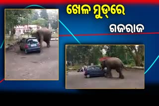 An elephant Pushing a car for fun in Guwahati video viral