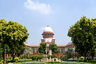 SC seeks Rajasthan's response on plea alleging non payment of ex gratia