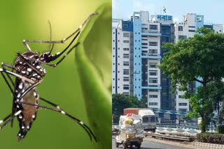 nabanna-directs-district-administration-to-take-necessary-steps-to-contain-dengue