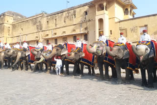 No elephant ride from 25th September to 6 October in Amer Fort due to Navratri in Sheela Mata