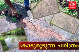 സംരക്ഷണമില്ലാതെ ഏറ്റുകുടുക്കയിലെ ശിലാചിത്രങ്ങൾ  rock paintings in kannur Ettukudukka  rock paintings are on the verge of destruction  kannur Ettukudukka rock paintings perishing  ഇവിടെ കാടുമൂടുന്നത് ഒരു നാടിന്‍റെ ചരിത്രം  സംരക്ഷണമില്ലാതെ ഏറ്റുകുടുക്കയിലെ ശിലാചിത്രങ്ങൾ  കാങ്കോൽ ആലപ്പടമ്പ  kankole Alappadamba rock carvings  ഏറ്റുകുടുക്കയിലുളള ശിലാചിത്രങ്ങൾ  മൂവായിരം വർഷത്തോളം പഴക്കമുള്ള ശിലാചിത്രങ്ങൾ  Three thousand year old rock paintings  ആദിമ കാർഷിക സംസ്‌കൃതി  ശിലാചിത്രങ്ങൾ എന്താണ്  what is rock painting  ഏറ്റുകുടുക്ക ജൂതക്കുളം