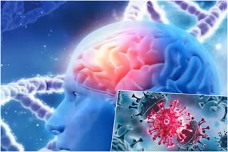 Alzheimers disease  Covid 19  Elderly have the risk of Alzheimers  Alzheimers  അൽഷിമേഴ്‌സ് രോഗത്തിന് സാധ്യത  അൽഷിമേഴ്‌സ്  കൊവിഡ് 19  അൽഷിമേഴ്‌സ് ഡിസീസ് ജേണൽ  ഡിമെന്‍ഷ്യ  Health care  health news