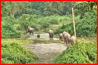 A beautiful view on NH-37 in Nagaon