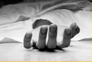 Man stabs sister-in-law to death in Punjab