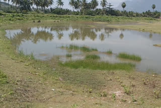 தடுப்பணை உடைந்து ஓர் ஆண்டாகிறது - நடவடிக்கை எடுக்குமா பொதுப்பணித் துறை?