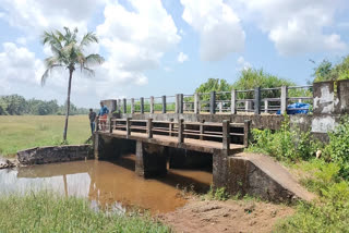 Bridge in Peralam area  Bridge connecting Karivellur to Kankol Village  Karivellur  Kankol  പെരളത്തെ കര്‍ഷകര്‍ പ്രതിസന്ധിയില്‍  പാലം പണി പാതിവഴിയില്‍  പെരളം  സി കൃഷ്‌ണൻ എം എൽ എ