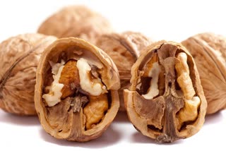 Eating walnuts everyday may lower your BMI, control BP