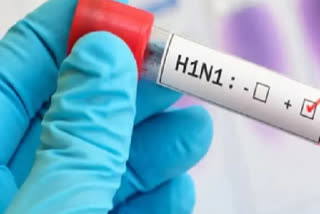 Swine Flu In Warangal