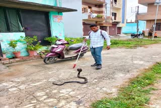 Cobra came out of a house in Jagdishpur Raja Garden of Haridwar