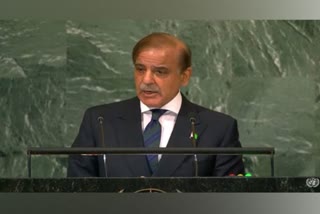 PM Shehbaz Sharif