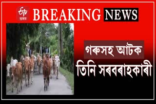 Cattle Smugglers arrested in Majuli