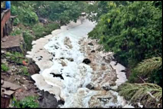 Foamy water in Parwanoo khad.