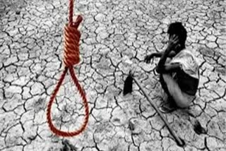 Farmers commit suicide due to debt beyond capacity