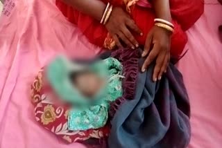 Newborn Baby Girl Rescued