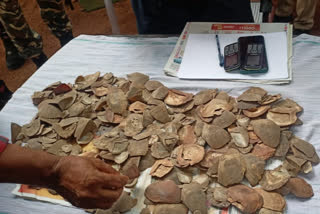 pangolin-skins-recovered-in-gaya