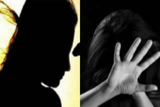 Heretic brothers raped and blackmailed the owner's wife and daughter in Vadodara
