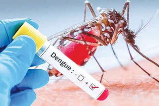 Dengue claims another life in Kolkata