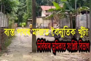 extreme negligence in Barma Electricity Sub Division