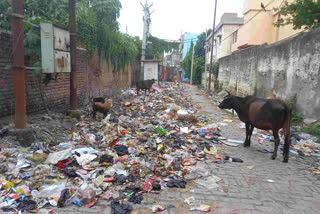 strike of sanitation workers in Sahibganj