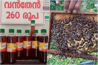 Honey bee farmers  Apiculture in Kottayam  Apiculture  തേനീച്ച കൃഷി  തേന്‍ ഉത്‌പാദനം  തേനീച്ച കർഷകർ  ഹോർട്ടികോർപ്പ്  റബർ ബോർഡ്  ഖാദി ബോർഡ്