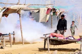 اقوام متحدہ کا پاکستان میں مچھروں سے پھیلنے والی بیماریوں پر تشویش