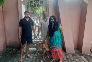 UP: Thieves take away pitbull; it attacks them