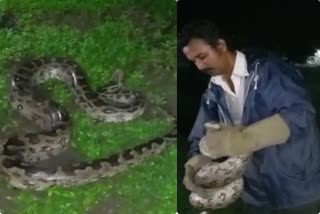 python snake Rescued in Jubilee Park of Jamshedpur