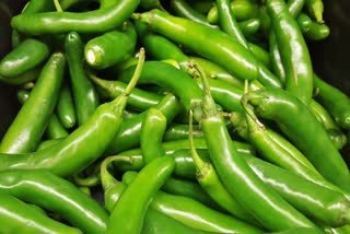 Green Chili News