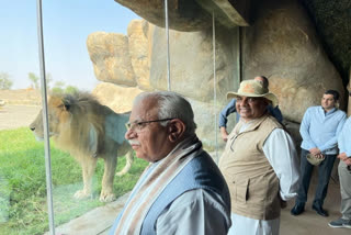 safari park in Haryana