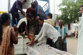 woman bitten by snake in shivpuri