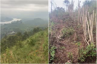 മതികെട്ടാന്‍ ചോല ദേശീയ ഉദ്യോനം  Mathiketan Chola National Park  രണ്ട് ഏക്കറിലധികം ഭൂമി കൈയ്യേറി  നീലകുറിഞ്ഞി പൂവിട്ട മലമുകളിലാണ് കയ്യേറ്റം  ഇടുക്കി ഭൂമി കയ്യേറ്റം  കേരള വാർത്തകൾ  മലയാളം വാർത്തകൾ  malayalam latest news  kerala latest news  Encroachment of revenue land near Mathiketan Chola  Encroachment of revenue land idukki