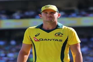 It's a bit better for the bowlers: Hazlewood on Australian conditions for T20 WC