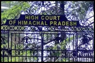 himachal high court