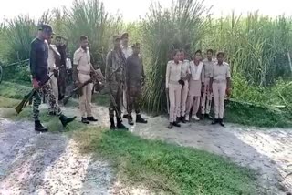 forest dept failed to tranquilize man eater tiger in bihar