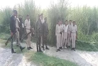 Man Eating tiger  Bihar Valmiki Tiger reserve  Bihar  orest official  പിടികൂടാന്‍ വന്‍ സന്നാഹം  കണ്ണ് വെട്ടിച്ച് ഇരയെ കൊണ്ടുപോകും  നാടിനെ നടുക്കി നരഭോജി കടുവ  നരഭോജി കടുവ  കടുവ  നരഭോജി  ബിഹാറിലെ ബാഗ  ബാഗ  ബിഹാര്‍  വനം  വന്യജീവി വകുപ്പ്  വാൽമീകി ടൈഗർ റിസർവിലാണ്  വിടിആർ